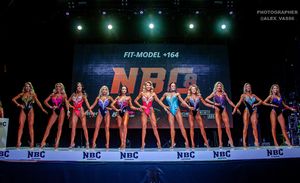 FIT-MODEL +164 (1 раунд)